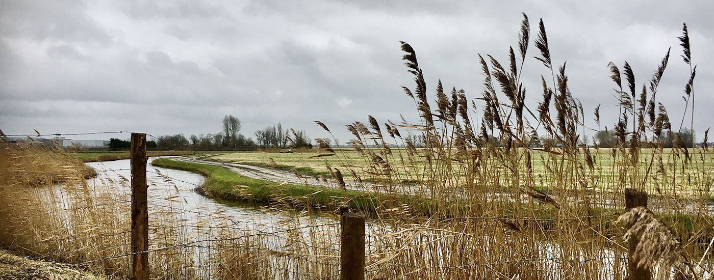 ondersteuning bij verlies